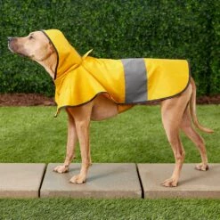 Frisco Lightweight Rainy Days Dog Raincoat -Pet Cat Store 119208 PT7. AC SS1800 V1540475377