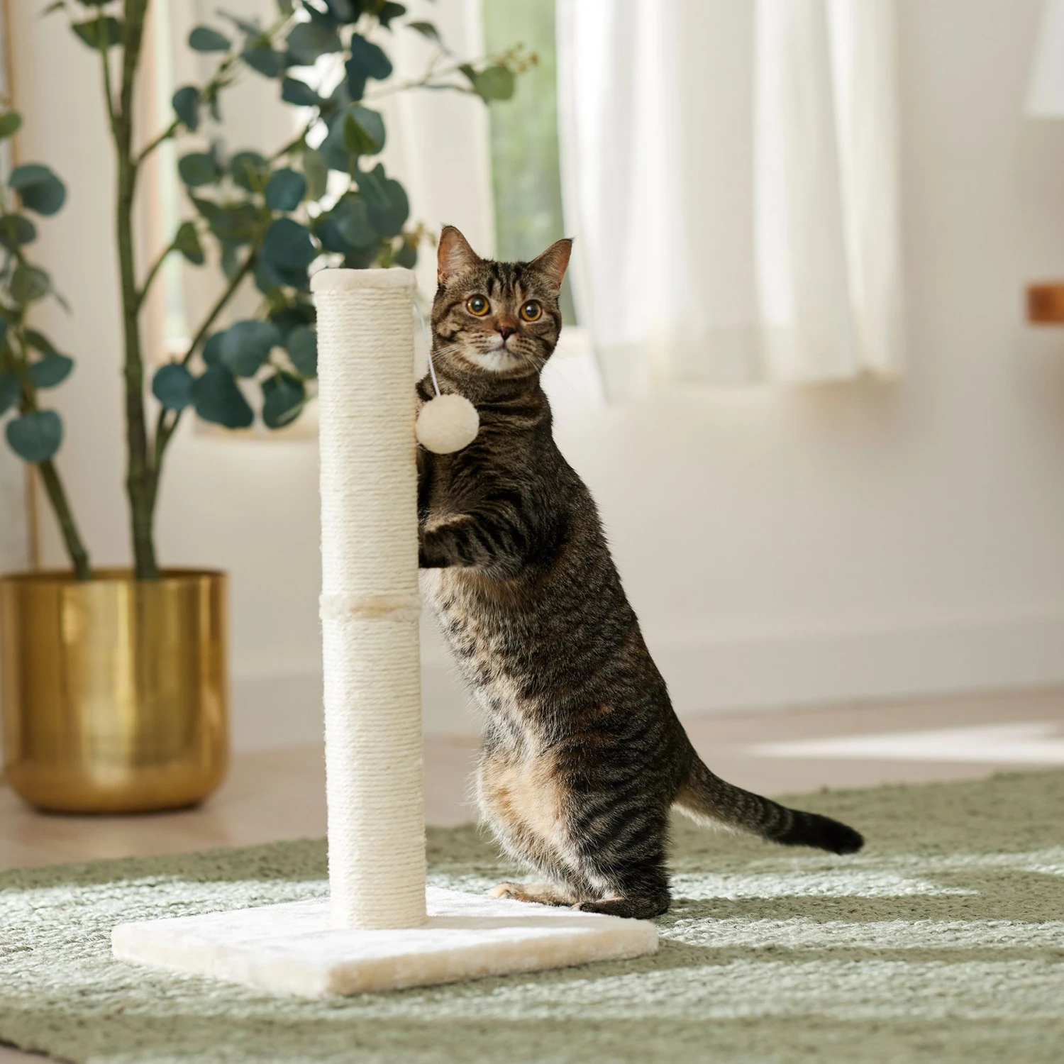 Frisco 21-in Sisal Cat Scratching Post With Toy 3 Frisco 21-in Sisal Cat Scratching Post With Toy