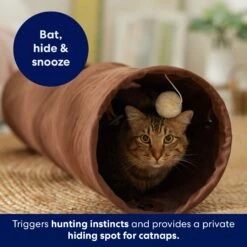 Frisco 35-in Foldable Crinkle Play Tunnel With 1 Window 10 Frisco 35-in Foldable Crinkle Play Tunnel With 1 Window -Pet Cat Store 140166 PT3. AC SS1800 V1695670685