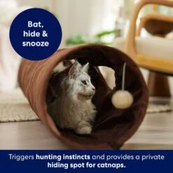 Frisco 47-in Foldable Crinkle Play Tunnel With 2 Windows 10 Frisco 47-in Foldable Crinkle Play Tunnel With 2 Windows -Pet Cat Store 140168 PT3. AC SS1800 V1695241917