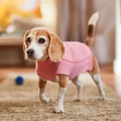 Frisco Dog & Cat Cable Knitted Sweater -Pet Cat Store 144254 PT5. AC SS1800 V1541456525