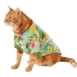 Frisco Pineapple Hawaiian Camp Dog & Cat Shirt 13 Frisco Pineapple Hawaiian Camp Dog & Cat Shirt -Pet Cat Store 153596 PT2. AC SS1800 V1673304512