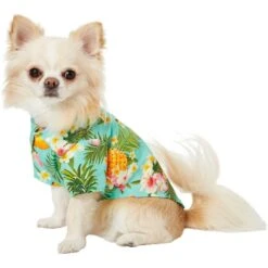 Frisco Pineapple Hawaiian Camp Dog & Cat Shirt 14 Frisco Pineapple Hawaiian Camp Dog & Cat Shirt -Pet Cat Store 153596 PT3. AC SS1800 V1673361409