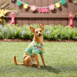 Frisco Pineapple Hawaiian Camp Dog & Cat Shirt 18 Frisco Pineapple Hawaiian Camp Dog & Cat Shirt -Pet Cat Store 153596 PT7. AC SS1800 V1644884316