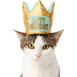 Frisco Happy Birthday Dog & Cat Crown 10 Frisco Happy Birthday Dog & Cat Crown -Pet Cat Store 153665 PT2. AC SS1800 V1551230979