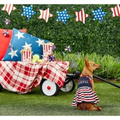 Frisco American Cutie Dog & Cat Sundress -Pet Cat Store 153735 PT4. AC SS1800 V1633126624