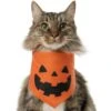 Frisco Jack O' Lantern Pumpkin Dog & Cat Bandana 1 Frisco Jack O' Lantern Pumpkin Dog & Cat Bandana -Pet Cat Store 158934 MAIN. AC SS1800 V1669148132