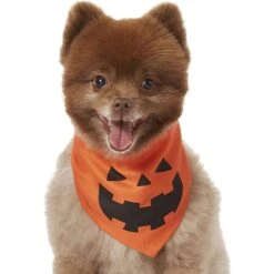 Frisco Jack O' Lantern Pumpkin Dog & Cat Bandana 11 Frisco Jack O' Lantern Pumpkin Dog & Cat Bandana -Pet Cat Store 158934 PT2. AC SS1800 V1690828662