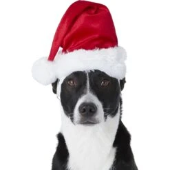 Frisco Holiday Dog & Cat Santa Hat, 1 Count -Pet Cat Store 160054 PT2. AC SS1800 V1669100718