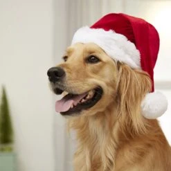 Frisco Holiday Dog & Cat Santa Hat, 1 Count -Pet Cat Store 160054 PT4. AC SS1800 V1637650626