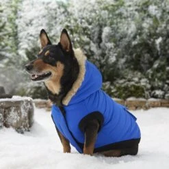 Frisco Heavyweight Anchorage Insulated Dog & Cat Parka -Pet Cat Store 160250 PT7. AC SS1800 V1567011259
