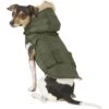 Frisco Mid-Heavyweight Portland Insulated Dog & Cat Parka 1 Frisco Mid-Heavyweight Portland Insulated Dog & Cat Parka -Pet Cat Store 160295 MAIN. AC SS1800 V1566999745