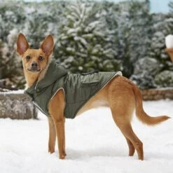 Frisco Mid-Heavyweight Portland Insulated Dog & Cat Parka -Pet Cat Store 160295 PT7. AC SS1800 V1567618265