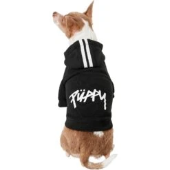 Frisco Püppy Dog Athletic Hoodie 11 Frisco Püppy Dog Athletic Hoodie -Pet Cat Store 160342 PT2. AC SS1800 V1637689590