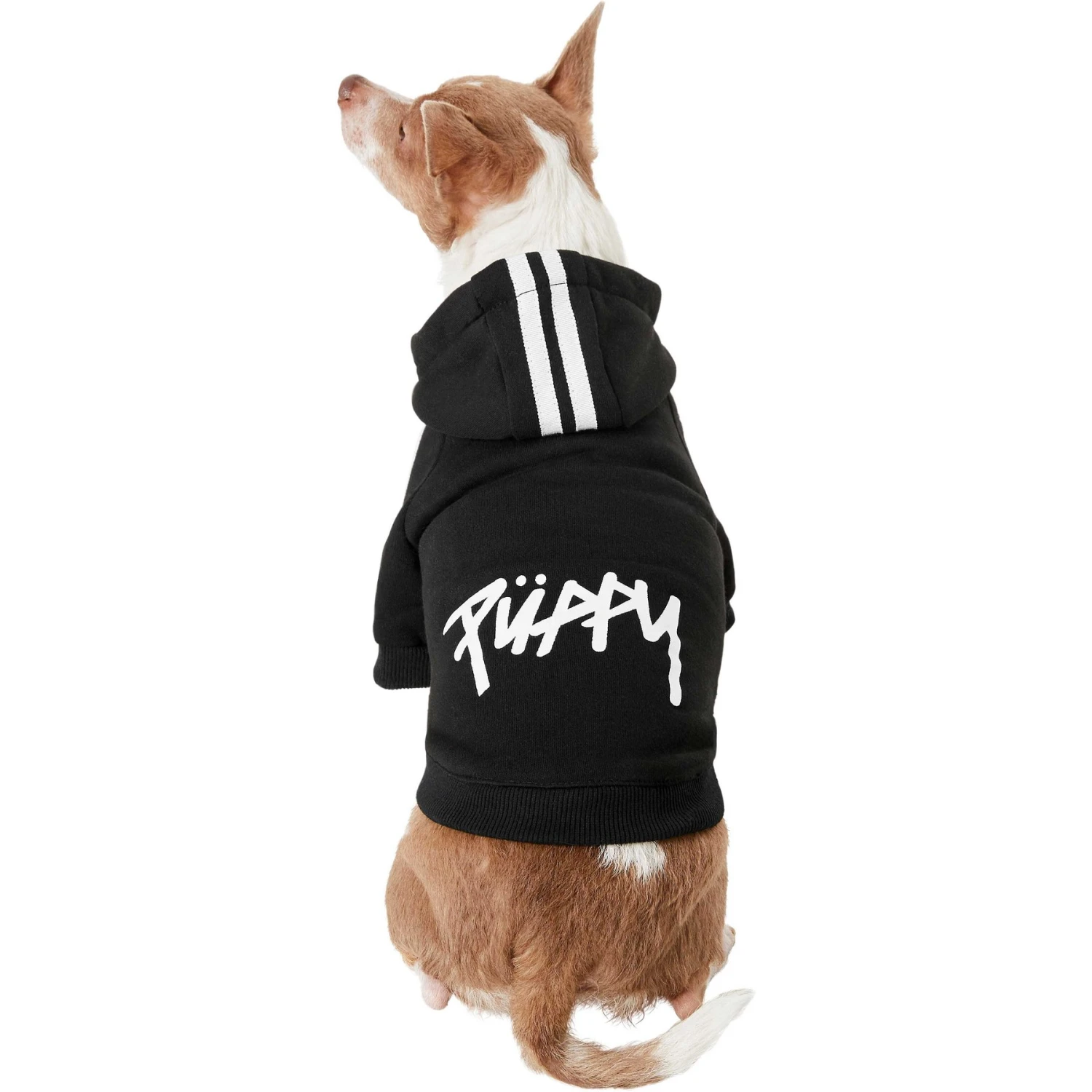 Frisco Püppy Dog Athletic Hoodie 5 Frisco Püppy Dog Athletic Hoodie - Image 3
