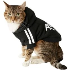 Frisco Püppy Dog Athletic Hoodie 12 Frisco Püppy Dog Athletic Hoodie -Pet Cat Store 160342 PT3. AC SS1800 V1637716325