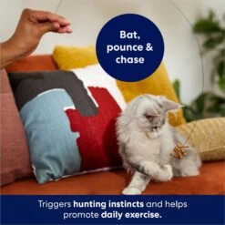 Frisco Cardboard & Wire Teaser Cat Toy -Pet Cat Store 161194 PT3. AC SS1800 V1686579092