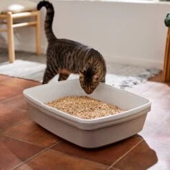 Frisco Pine Pellet Unscented Non-Clumping Wood Cat Litter -Pet Cat Store 161458 PT4. AC SS1800 V1659023182