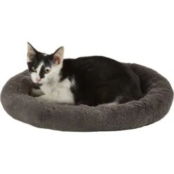Frisco Self Warming Bolster Round Kitten Bed -Pet Cat Store 165315 PT2. AC SS1800 V1568211141