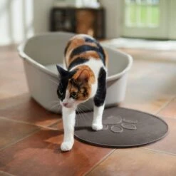 Frisco Shaped Cat Litter Mat 8 Frisco Shaped Cat Litter Mat -Pet Cat Store 166306 PT3. AC SS1800 V1675279990