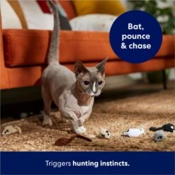 Frisco Mouse Cat Toy With Catnip 10 Frisco Mouse Cat Toy With Catnip -Pet Cat Store 166366 PT3. AC SS1800 V1686579216