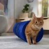 Frisco Foldable Play Tunnel With Mesh Cat Toy -Pet Cat Store 166385 MAIN. AC SS1800 V1686579145