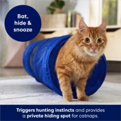 Frisco Foldable Play Tunnel With Mesh Cat Toy 8 Frisco Foldable Play Tunnel With Mesh Cat Toy -Pet Cat Store 166385 PT2. AC SS1800 V1686580143