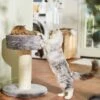 Frisco 24.8-in Heavy Duty Faux Fur Cat Tree -Pet Cat Store 169397 MAIN. AC SS1800 V1680808632