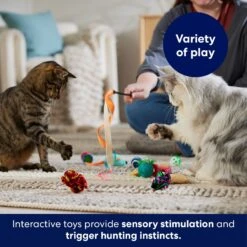 Frisco Plush, Teaser & Ball Variety Pack Cat Toy With Catnip 10 Frisco Plush, Teaser & Ball Variety Pack Cat Toy With Catnip -Pet Cat Store 169686 PT5. AC SS1800 V1691783971