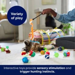 Frisco Plush, Teaser, Ball & Tunnel Variety Pack Cat Toy With Catnip 12 Frisco Plush, Teaser, Ball & Tunnel Variety Pack Cat Toy With Catnip -Pet Cat Store 169688 PT5. AC SS1800 V1691784246