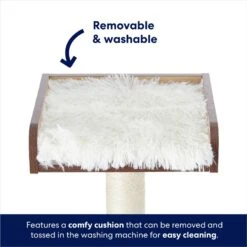 Frisco 62-in Modern Cat Tree & Condo 12 Frisco 62-in Modern Cat Tree & Condo -Pet Cat Store 177901 PT4. AC SS1800 V1667227997