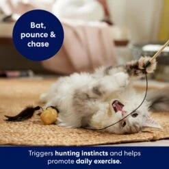 Frisco Sparkle Ball Teaser Wand Cat Toy With Catnip -Pet Cat Store 183254 PT3. AC SS1800 V1695241915