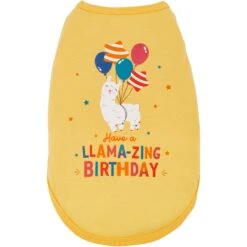 Frisco Llama-zing Birthday Dog & Cat T-Shirt -Pet Cat Store 191240 PT2. AC SS1800 V1582053523