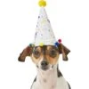 Frisco Confetti Dog & Cat Birthday Hat -Pet Cat Store 191274 Main. AC SS1800 V1582053295