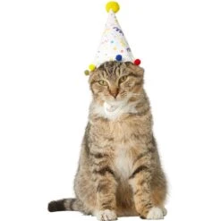 Frisco Confetti Dog & Cat Birthday Hat -Pet Cat Store 191274 PT2. AC SS1800 V1582053206