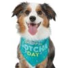 Frisco Happy Gotcha Day Dog & Cat Bandana 1 Frisco Happy Gotcha Day Dog & Cat Bandana -Pet Cat Store 200538 MAIN. AC SS1800 V1633085812
