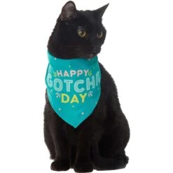 Frisco Happy Gotcha Day Dog & Cat Bandana 10 Frisco Happy Gotcha Day Dog & Cat Bandana -Pet Cat Store 200538 PT2. AC SS1800 V1633057623
