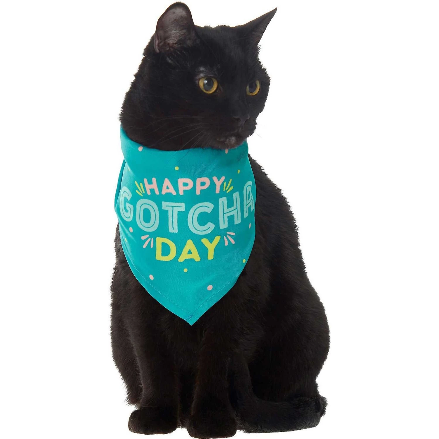 Frisco Happy Gotcha Day Dog & Cat Bandana 5 Frisco Happy Gotcha Day Dog & Cat Bandana - Image 3