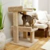 Frisco 32-in Real Carpet Wooden Cat Tree With Toy