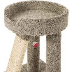 Frisco 24-in Real Carpet Cat Scratching Perch With Toy 8 Frisco 24-in Real Carpet Cat Scratching Perch With Toy -Pet Cat Store 208960 PT3. AC SS1800 V1589221651