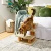 Frisco 20-in 3-Step Real Carpet Wooden Cat Steps 2 Frisco 20-in 3-Step Real Carpet Wooden Cat Steps -Pet Cat Store 208966 MAIN. AC SS1800 V1602682013