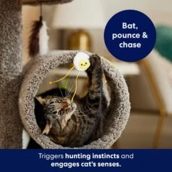 Frisco Plush Dangly Egg Buddy Cat Toy With Catnip 10 Frisco Plush Dangly Egg Buddy Cat Toy With Catnip -Pet Cat Store 213844 PT5. AC SS1800 V1691784029