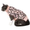 Frisco Leopard Print Dog & Cat Sweater -Pet Cat Store 223755 MAIN. AC SS1800 V1599500755