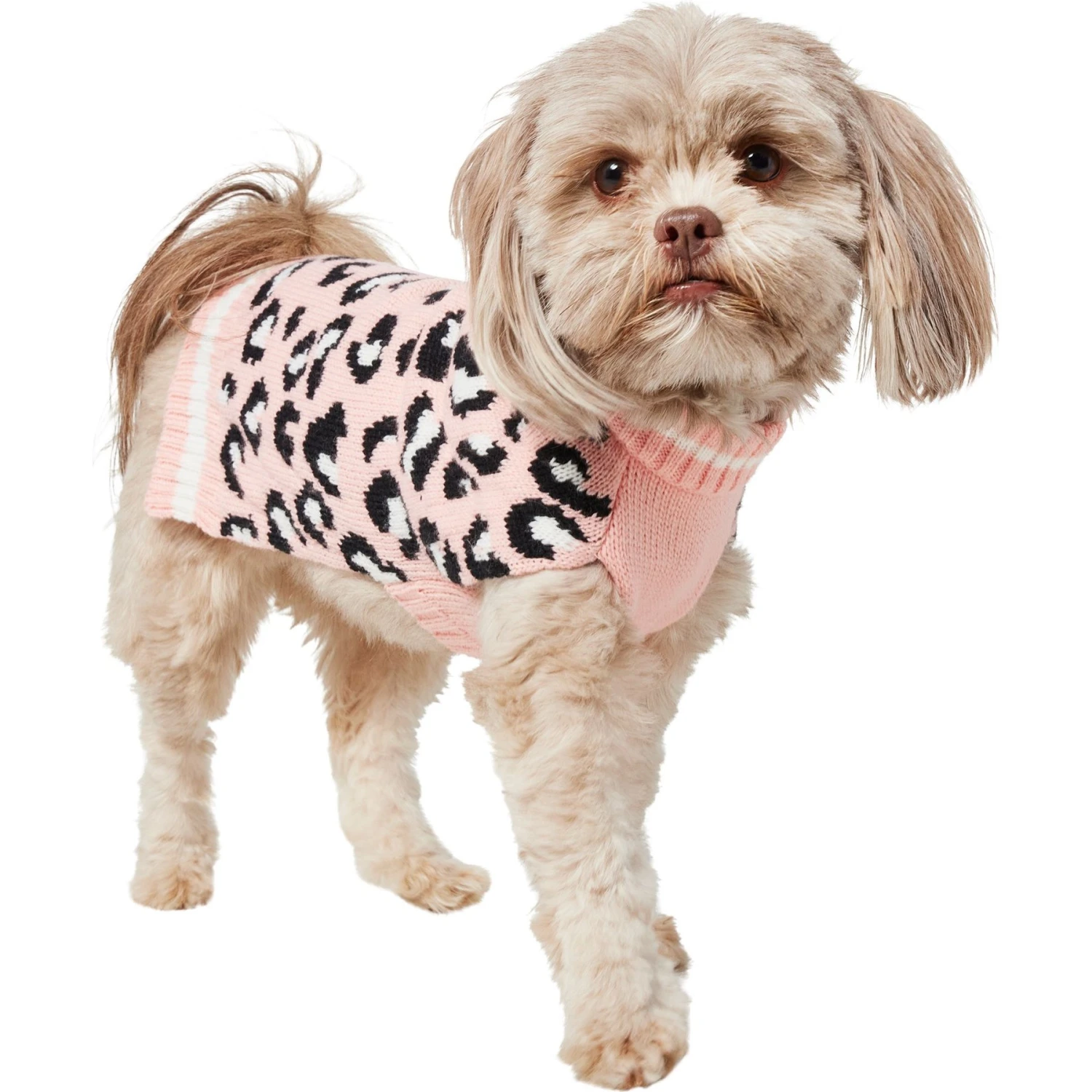 Frisco Leopard Print Dog & Cat Sweater 5 Frisco Leopard Print Dog & Cat Sweater - Image 3