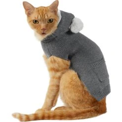 Frisco Bear Hooded Dog & Cat Sweater -Pet Cat Store 223786 PT2. AC SS1800 V1608820349