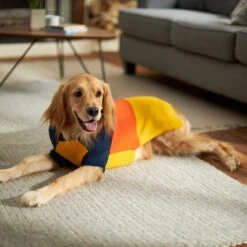 Frisco Colorblock Dog & Cat Turtleneck Sweater With Sleeves -Pet Cat Store 223819 PT7. AC SS1800 V1599922008
