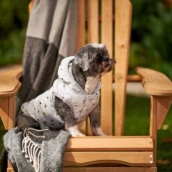 Frisco Mediumweight Silver Polka Dotted Insulated Dog & Cat Coat -Pet Cat Store 224017 PT7. AC SS1800 V1601579462