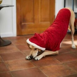 Frisco Textured Knit Dog & Cat Hoodie -Pet Cat Store 224233 PT6. AC SS1800 V1637729542