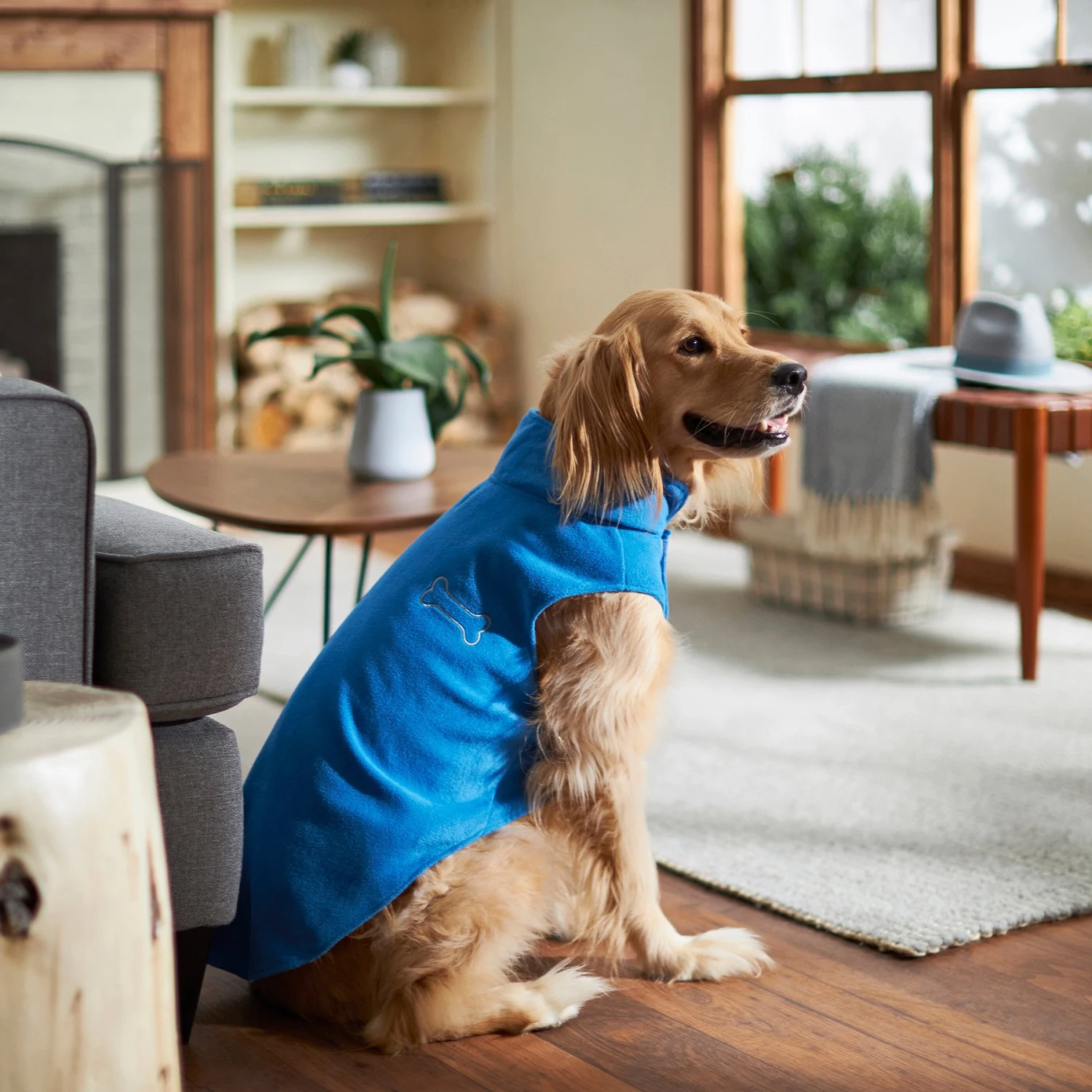 Frisco Ultra Lightweight Basic Dog & Cat Fleece Vest 9 Frisco Ultra Lightweight Basic Dog & Cat Fleece Vest - Image 7