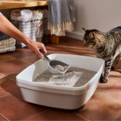 Frisco Lightweight Unscented Clumping Cat Litter -Pet Cat Store 230716 PT4. AC SS1800 V1659023918